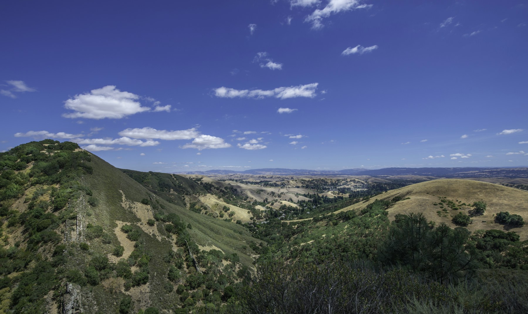 Green hills and wide blue sky seen from lower Mount Diablo in Contra Costa County